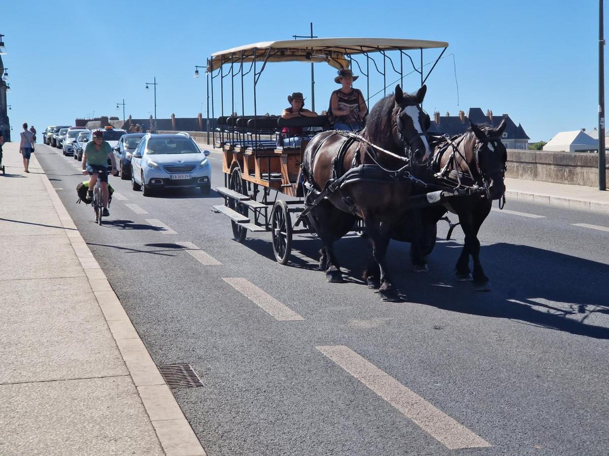 Le Saint Jean Et Son Parking Privee Διαμέρισμα Μπλουά Εξωτερικό φωτογραφία